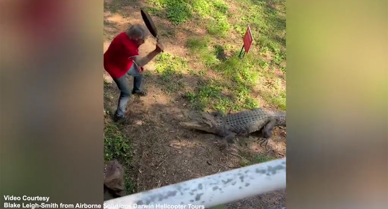 Hombre gana pelea a sartenazos contra cocodrilo en Australia | ACI noticias